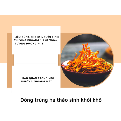 Công Dụng Đông Trùng Hạ Thảo Sinh Khối Khô